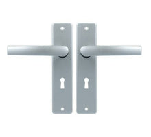 Ami Kortschild SL56 Met Deurkruk Blok Aluminium F1