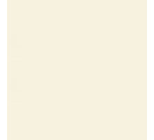 Storemax  R 60 deurplaat ivoor   8 mm  101.5x 255