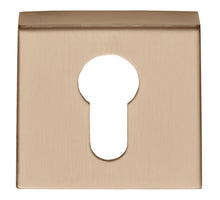 Formani BASICS BSQY53 cilinderplaatje PVD licht brons