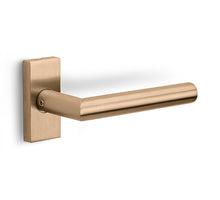 Formani BASICS LB2-19/Q32G geveerd op rozet PVD BL PR