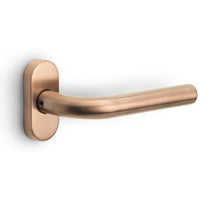 Formani BASICS LB3-19/B32G geveerd op rozet PVD BL P