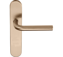 Formani BASICS LB3-19 P13SFC geveerd op schild PVD BL P