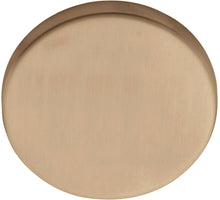 Formani BASICS LBB50 blind plaatje PVD licht brons