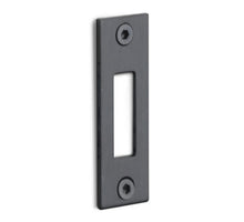 Formani BASICS LBSP-K sluitplaat rechthoekig PVD IG/IZ